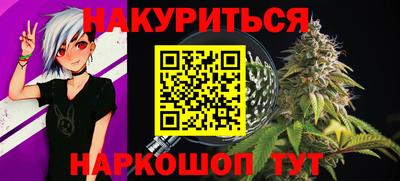 спиды Бердск
