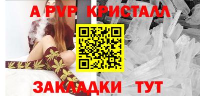 спиды Бердск