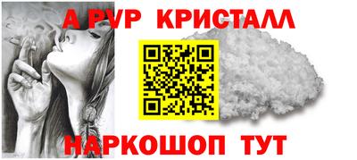 спиды Бердск