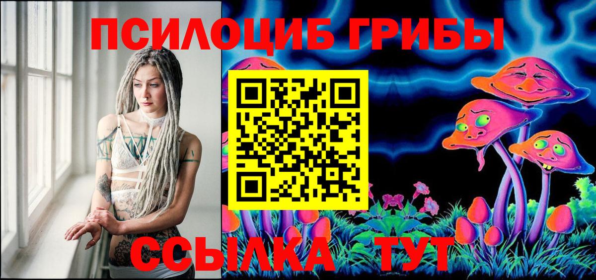 Галлюциногенные грибы MAGIC MUSHROOMS  Вход с VPN  Галлюциногенные грибы прущие грибы  Всеволожск 