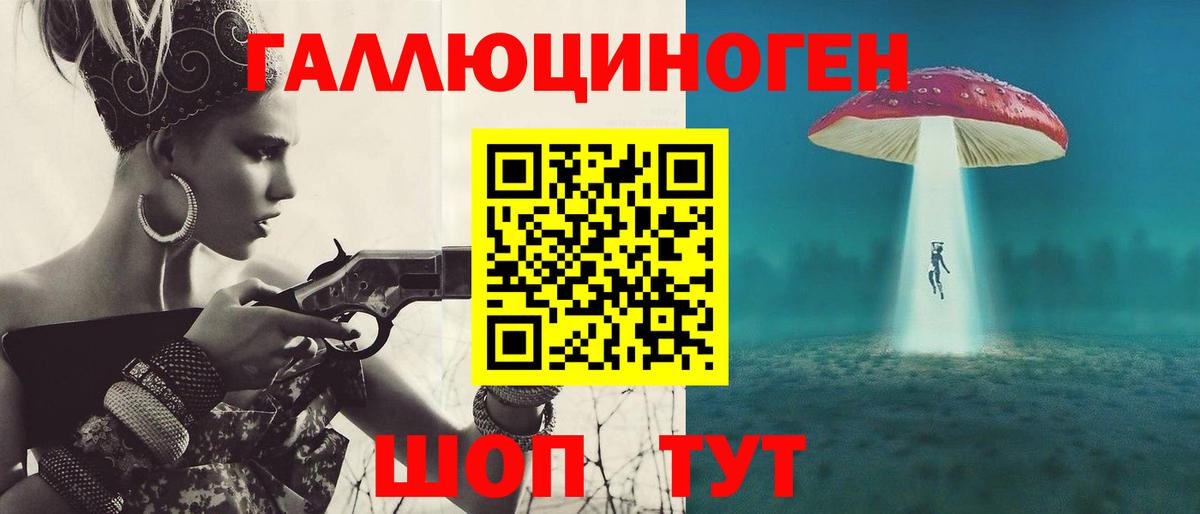 Псилоцибиновые грибы Cubensis Всеволожск